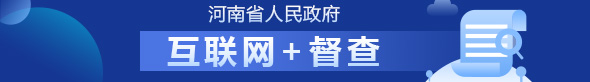 河南省人民政府 互聯網+督查